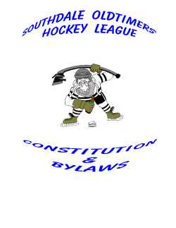 Constitution - Southdale Oldtimers Hockey League