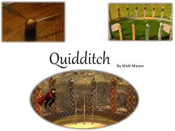 The Game - Quidditch Fever