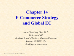Chapter 3 Effects of IT on Strategy and Competition