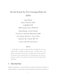 On the Search for New Learning Rules for ANNs