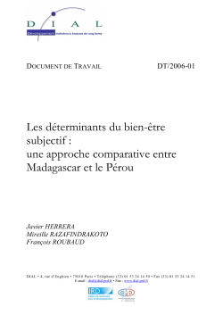 Les d&eacute;terminants du bien-&ecirc;tre subjectif : une approche comparative entre Madagascar et le P&eacute;rou