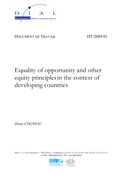 Equality of opportunity and other equity principles in the context of developing countries