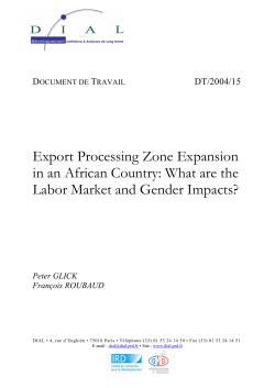 Export Processing Zone Expansion in an African Country : What are the Labor Market and Gender Impacts ?