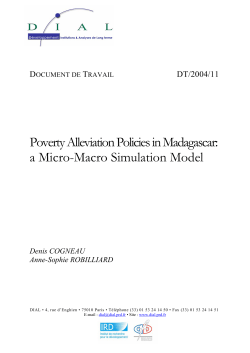 Poverty Alleviation Policies in Madagascar: a Micro-Macro Simulation Model