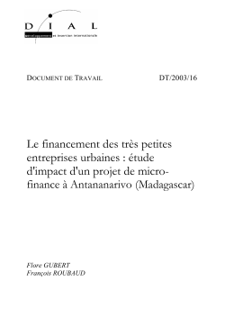 Le financement des tr&egrave;s petites entreprises urbaines : &eacute;tude d'impact d'un projet de micro-finance &agrave; Antananarivo (Madagascar)