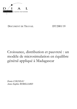 Croissance, distribution et pauvret&eacute; : un mod&egrave;le de micro simulation en &eacute;quilibre g&eacute;n&eacute;ral appliqu&eacute; &agrave; Madagascar