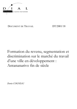 Formation du revenu, segmentation et discrimination sur le march&eacute; du travail d'une ville en d&eacute;veloppement : Antananarivo fin de si&egrave;cle