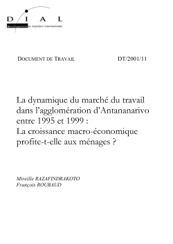 La dynamique du march&eacute; du travail dans l'agglom&eacute;ration d'Antananarivo entre 1995 et 1999 : La croissance macro-&eacute;conomique profite-t-elle aux m&eacute;nages ?