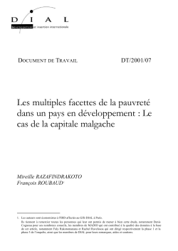 Les multiples facettes de la pauvret&eacute; dans un pays en d&eacute;veloppement : Le cas de la capitale malgache