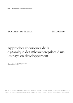 Approches th&eacute;oriques de la dynamique des microentreprises dans les pays en d&eacute;veloppement