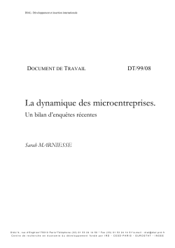 La dynamique des microentreprises. Un bilan d'enqu&ecirc;tes r&eacute;centes