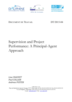Supervision and Project Performance: A Principal-Agent Approach