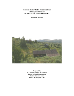 DOI-BLM-OR-V000-2009-004_DR.pdf