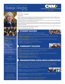 Printer-friendly Strategic Direction