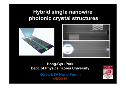 Nanophotonics using Semiconductor Nanowires