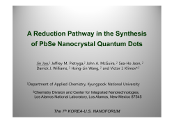 A Reduction Pathway in the Synthesis of PbSe Nanocrystal Quantum Dots