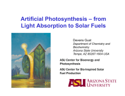 Artificial Photosynthesis from Light Absorption to Solar Fuels