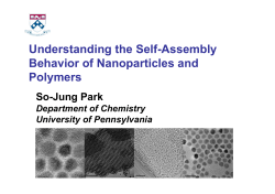 Hierarchical Self-Assembly of Nanoparticles and Polymers
