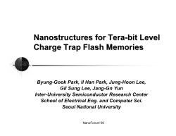 Nanostructures for Tera-bit Level Charge Trap Flash Memories