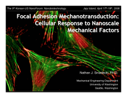 Focal Adhesion Mechanotransduction:Cellular Response to Nanoscale Mechanical Factors
