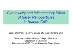 Cytotoxicity and Inflammatory Effect of Silver Nanoparticles in Human Cells