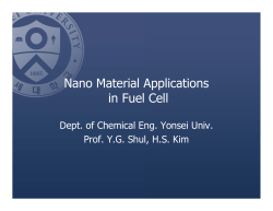 Nano Material Applications in Fuel Cell