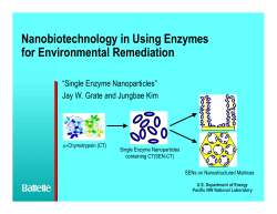 Nanobiocatalysis for Biofuel Cells