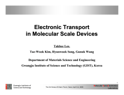 Electronic Transport in Molecular Scale Devices