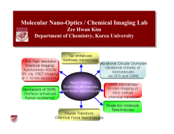 High Resolution Apertureless Near-Field Optical Imaging Using Gold Nanosphere Probes
