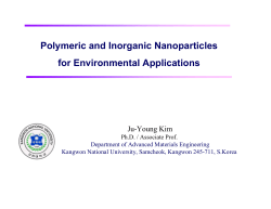 Polymeric and Inorganic Nanoparticles for Environmental Applications