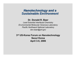 Nanoscience and a Sustainable Environment