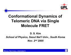 Single Molecule Studies of Telomeric DNA
