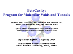 BetaCavity: Program for Molecular Voids and Tunnels