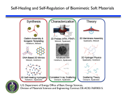 Membrane Indentation Triggers Clathrin Lattice Reorganization and Fluidization