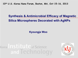 Synthesis and Antimicrobial Efficacy of Magnetic Silica Microspheres Decorated with Ag Nanoparticles