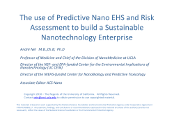 Use of Predictive Risk Assessment Approach to Build a Sustainable Nanotechnology Enterprise
