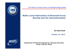 Wafer level fabrication of Nanowell Array Biochip and its Characterization