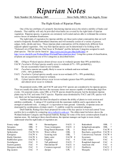 Riparian Notes 10: Riparian Plants