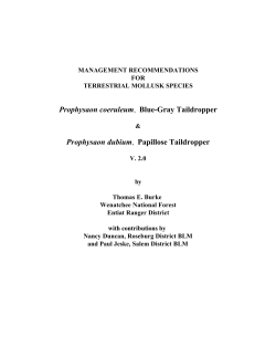 Attachment 3 - Management Recommendations for Terrestrial Mollusk Species: Prophysaon coeruleum, Blue-Gray Taildropper, Prophysaon dubium, Papillose Taildropper