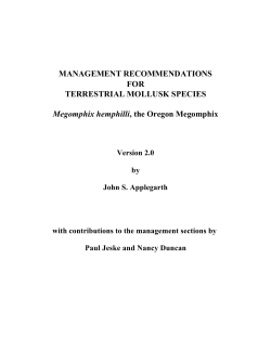 Attachment 2 - Management Recommendations for Terrestrial Mollusk Species: Megomphix hemphilli, the Oregon Megomphix