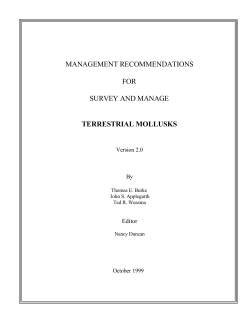 Attachment 1 - Management Recommendations for Survey and Manage Terrestrial Mollusks