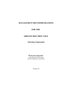 Attachment 1 - Management Recommendations for the Oregon Red Tree Voles