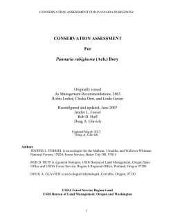 Lichen documentation - individual species