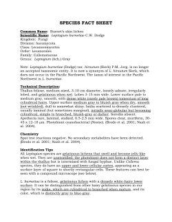 Lichen documentation - individual species