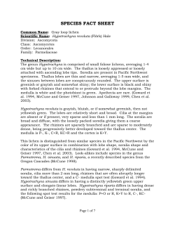 Lichen documentation - individual species