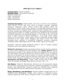 Lichen documentation - individual species