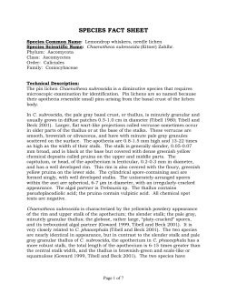 Lichen documentation - individual species