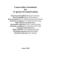 Lichen documentation - individual species