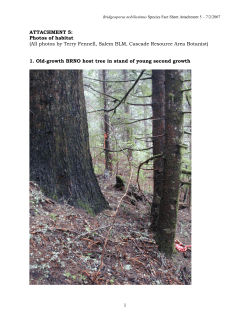 Attachment 5 - Photos of habitat