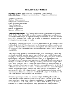 Species Fact Sheet - 2007